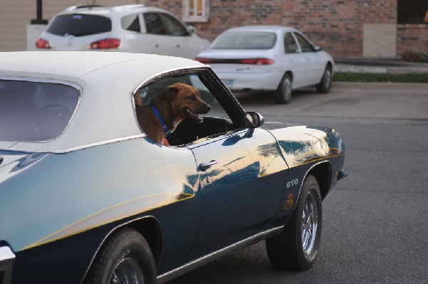 Austin FBody North Meetup 09/10/11 Cedar Park Texas - photo by Jeff Barring