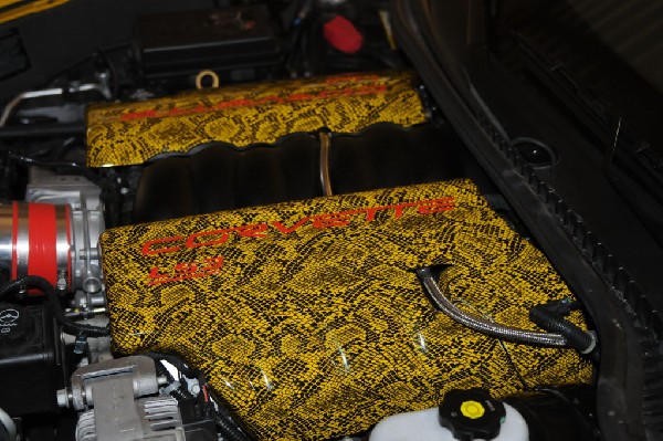 kingsnake racing corvette c6.k installation of custom snakeskin painted LS3